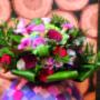 Bloem & styling (mbo)