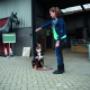 Dieverzorging (mbo)