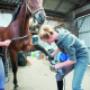 Paardenhouderij (mbo)