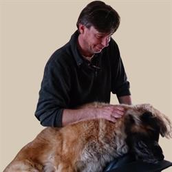 Honden Opleidings- en Gedragscentrum Zeeland (Hogz)