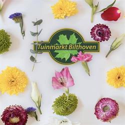 Tuinmarkt Bilthoven