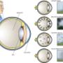 Bergambacht Optiek