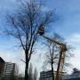 Tuinaanleg en Groenvoorziening Aarts BV