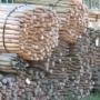 Oever BV Hout- en Impregneerbedrijf L ten