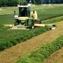 Groenvoer Opeinde Friesland BV