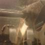 Mechelen Machinefabriek BV A L van