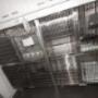 Dierenkliniek Haarlem-Oost P W Leyfeldt