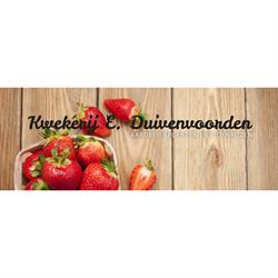 Kwekerij E. Duivenvoorden