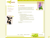 Ace! Marktonderzoek Bv