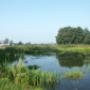 Bijkerk cs Tuin- en Landschapsarchitecten