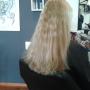 Academia Hairstyling