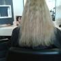 Academia Hairstyling