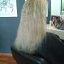 Academia Hairstyling