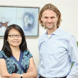 Acupuncturist.nl, Gilles Stoop