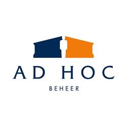 Ad Hoc Toezicht Bv