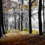 Breedveld & De Ruiter Advies & Mediation
