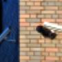AlarmPoint Beveiligingstechniek