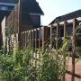 Alpha Groen Hoveniers