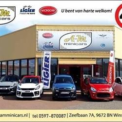 AM Minicars