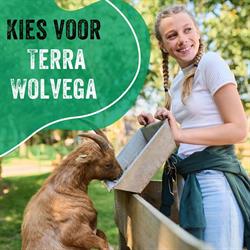 TERRA - Wolvega