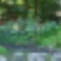 Gemeente apeldoorn
