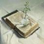 Arts of Lecadre