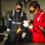 Assi Safety Nederland BV