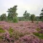 Baanderhoeve De