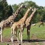 Baanderhoeve De