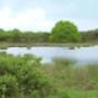 Baanderhoeve De