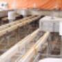BEBOTEC Betonboor- en Zaagtechniek