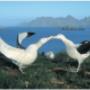 Beluga Expeditions & Adventures BV