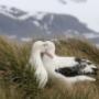 Beluga Expeditions & Adventures BV