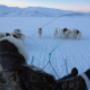 Beluga Expeditions & Adventures BV