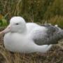Beluga Expeditions & Adventures BV