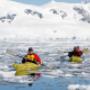 Beluga Expeditions & Adventures BV