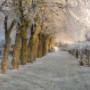 Lindelaan winter
