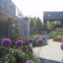 Hoveniersbedrijf Bluiminck
