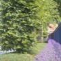 Hoveniersbedrijf Bluiminck