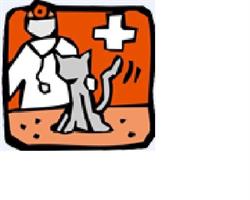 Bokhove en Bouman Dierenkliniek