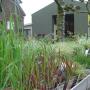 groot assortiment grassen