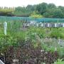 biologische kruiden Puur-Aroma