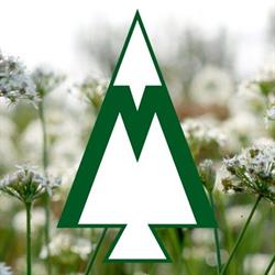Menkveld Boomkwekerij Plantencentrum H S