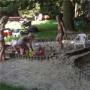 Bosbad Zwembad Buitenbad
