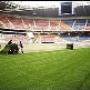 Bos Graszoden Nieuw Milligen BV