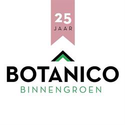 Botanico Binnengroenprojecten