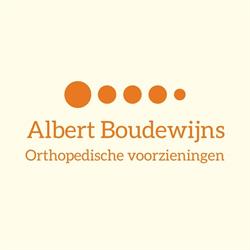 Albert Boudewijns