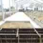 Bouwbedrijf J H van Boxmeer BV
