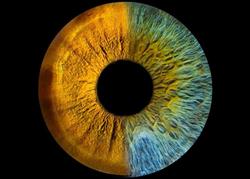 Antwerpen, Luc van Optometrist Optiek