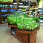 Aquariumafdeling